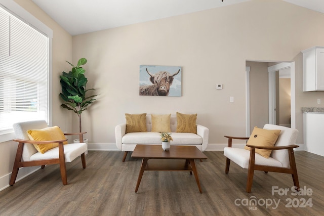 sitting room featuring lofted ceiling and dark wood-type flooring