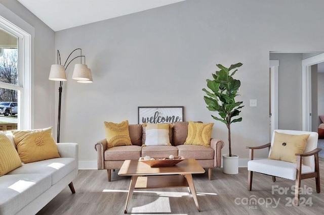 living room with lofted ceiling and wood-type flooring