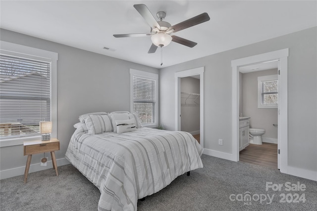 bedroom with carpet, ceiling fan, a walk in closet, and multiple windows