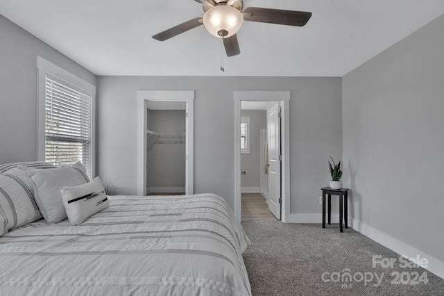 carpeted bedroom with ceiling fan, a closet, and a spacious closet