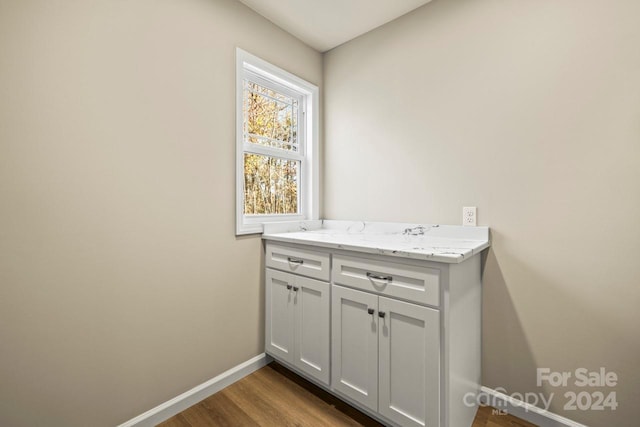 bathroom with vanity and hardwood / wood-style flooring