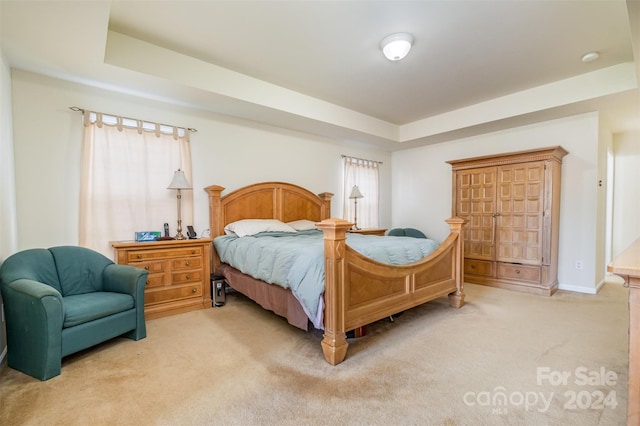 carpeted bedroom featuring a raised ceiling