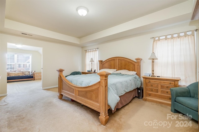 carpeted bedroom with a raised ceiling