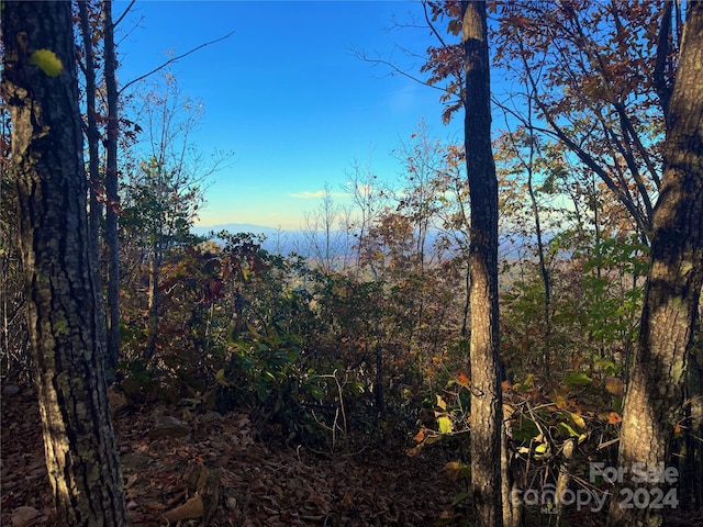 Listing photo 2 for 3721 Mountain Vista Dr Unit 28A, Morganton NC 28655