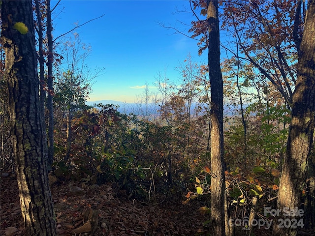 3721 Mountain Vista Dr Unit 28A, Morganton, NC 28655