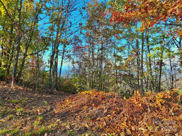3721 Mountain Vista Dr Unit 28A, Morganton, NC 28655