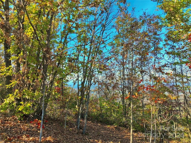 3721 Mountain Vista Dr Unit 28A, Morganton, NC 28655