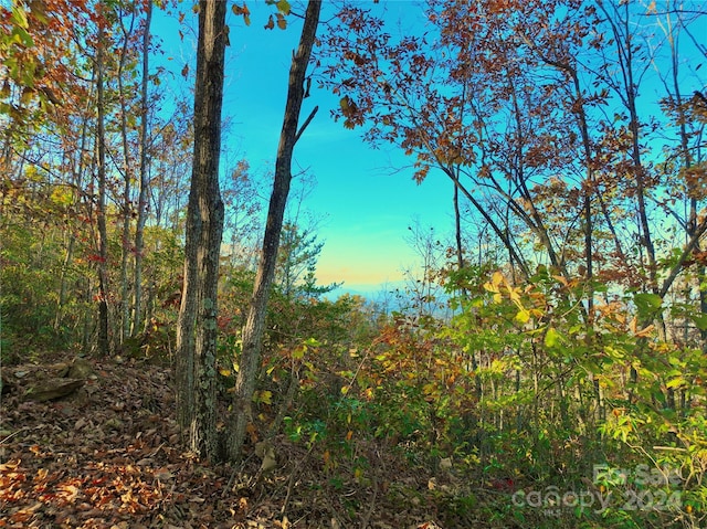 3721 Mountain Vista Dr Unit 28A, Morganton, NC 28655