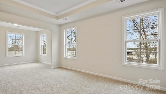 unfurnished room featuring light carpet and ornamental molding