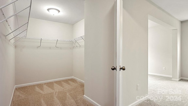 spacious closet with carpet flooring