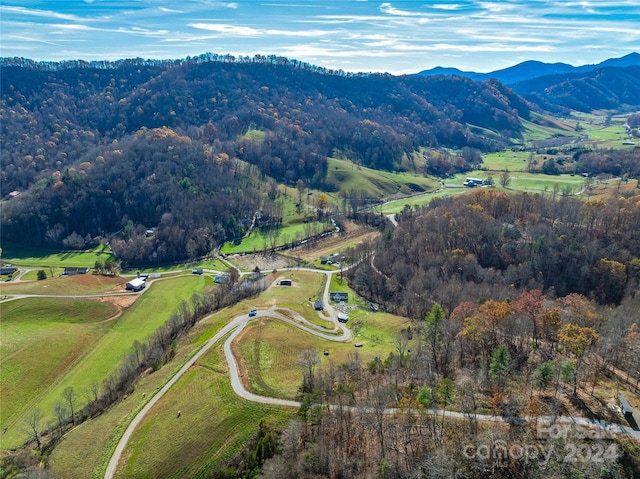 bird's eye view with a mountain view