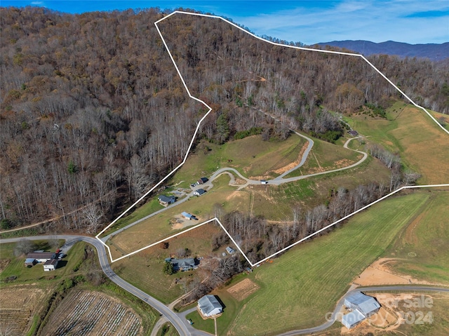 aerial view with a mountain view