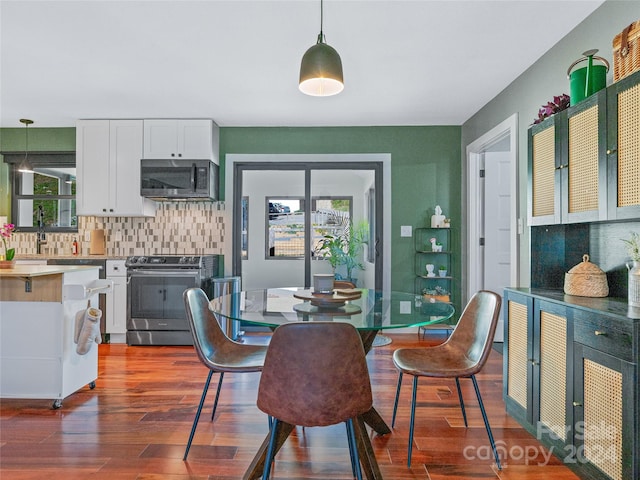 dining room featuring dark hardwood / wood-style flooring and a wealth of natural light