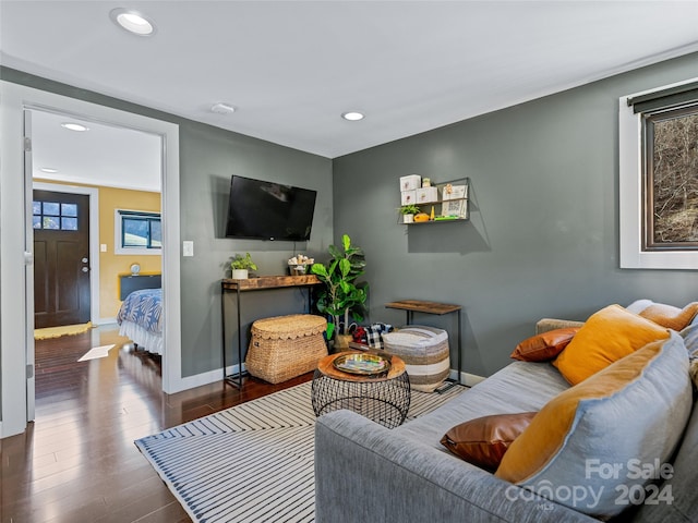 living room with dark hardwood / wood-style floors and a wealth of natural light