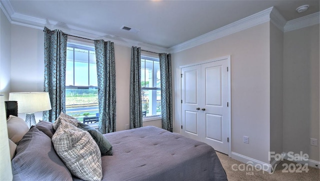 bedroom with ornamental molding, carpet, and a closet