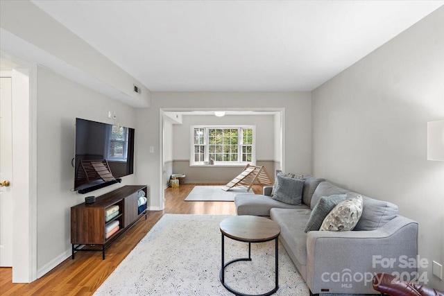 living room with wood-type flooring