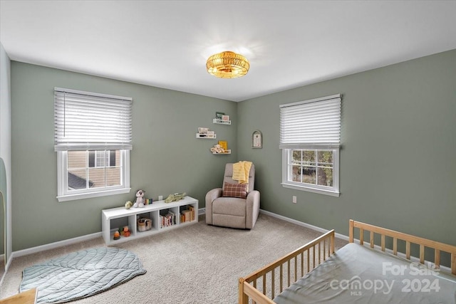 bedroom with carpet floors