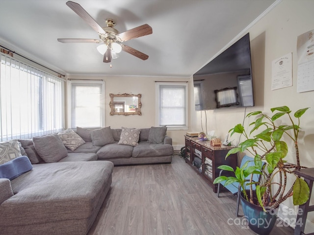 living room featuring hardwood / wood-style floors, ceiling fan, and crown molding