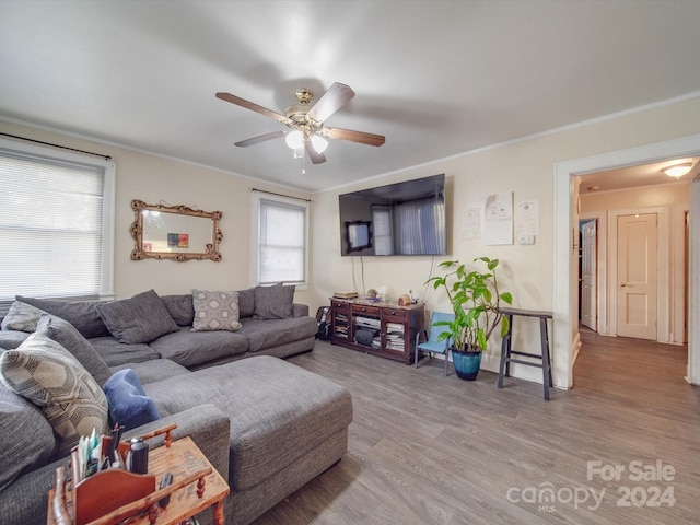 living room featuring ceiling fan, wood-type flooring, and crown molding