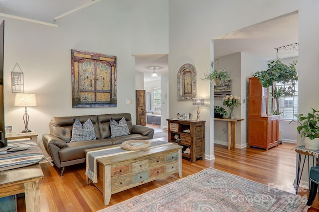 living room with light wood-type flooring