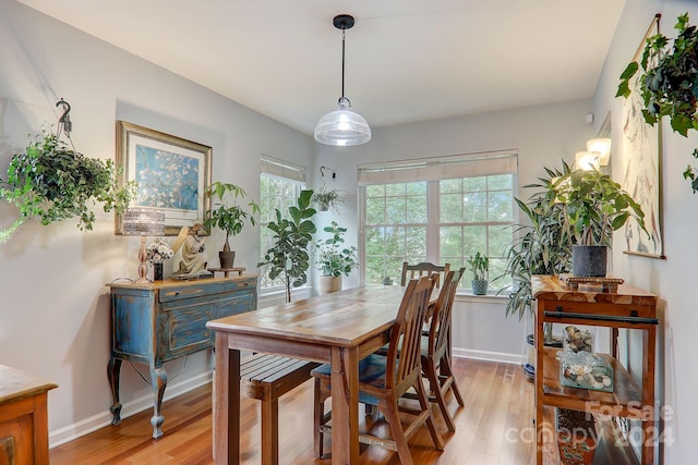 dining area featuring light hardwood / wood-style flooring