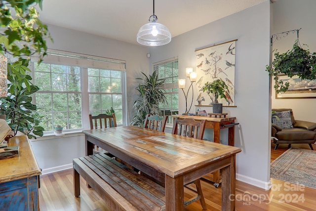 dining room featuring light hardwood / wood-style floors