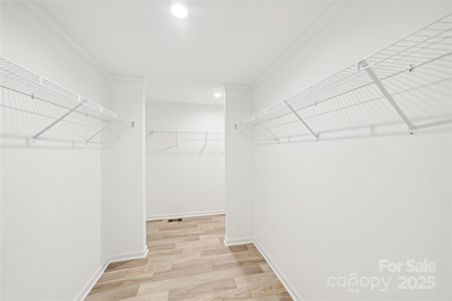 walk in closet featuring light wood-style floors