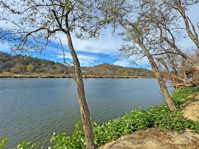 view of water feature