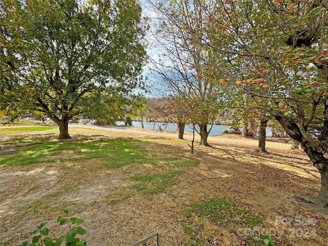 view of yard with a water view