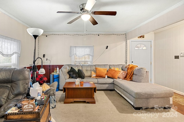 carpeted living room with ornamental molding, wood walls, ceiling fan, and a healthy amount of sunlight