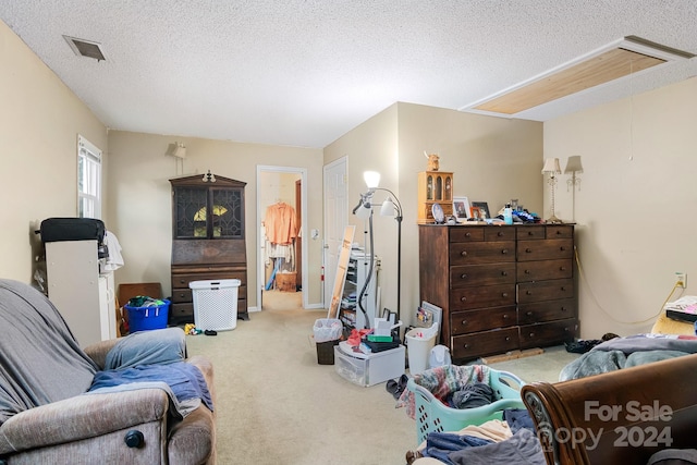 living room featuring light colored carpet and a textured ceiling