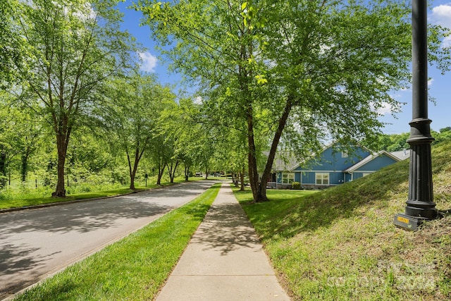 view of community with a yard