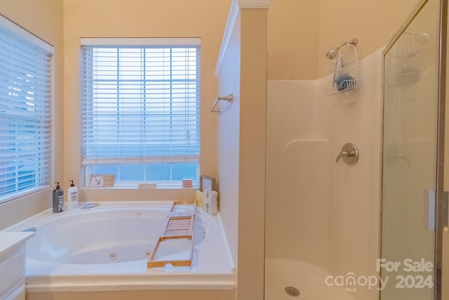 bathroom with vanity and independent shower and bath