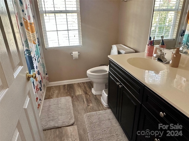 bathroom with toilet, vanity, a healthy amount of sunlight, and hardwood / wood-style flooring