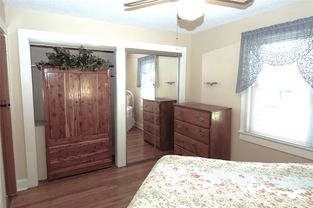 bedroom with ceiling fan, wood-type flooring, and two closets