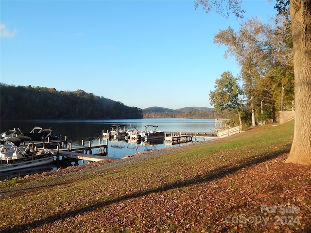 dock area featuring a water view and a yard