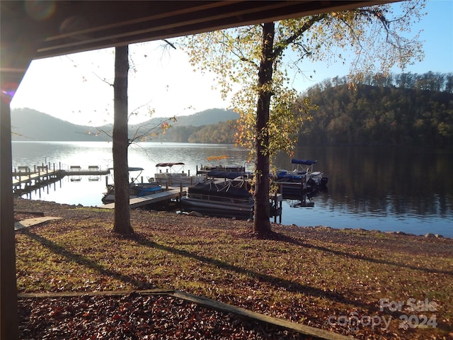 dock area with a water view