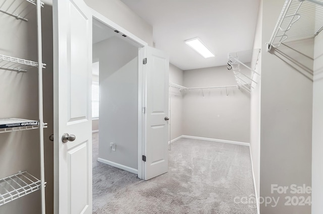 spacious closet with light carpet