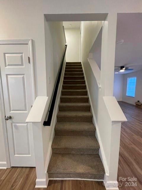 stairway featuring hardwood / wood-style floors