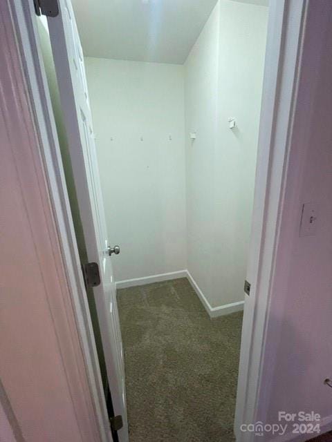 spacious closet with carpet