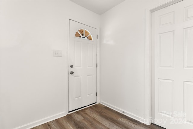 entrance foyer featuring dark wood-type flooring