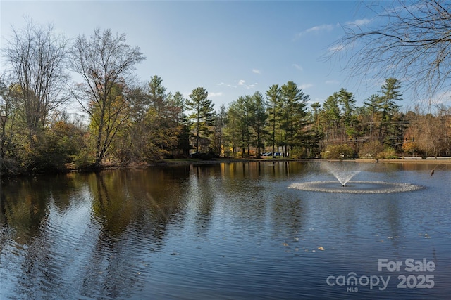 property view of water with a view of trees