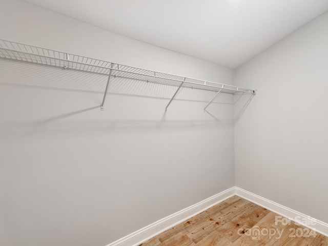 spacious closet with hardwood / wood-style floors