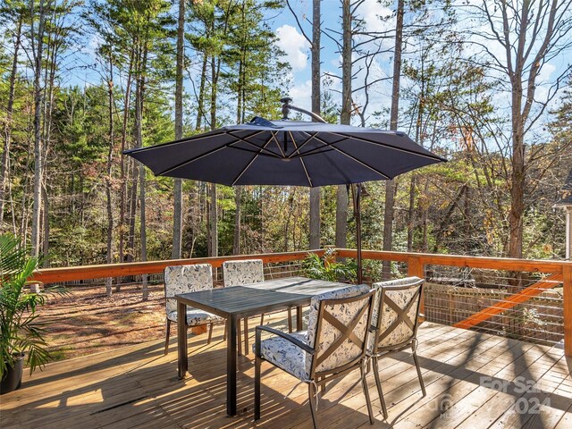 906 Woodvine Rd, Asheville, NC 28803 - photo 12