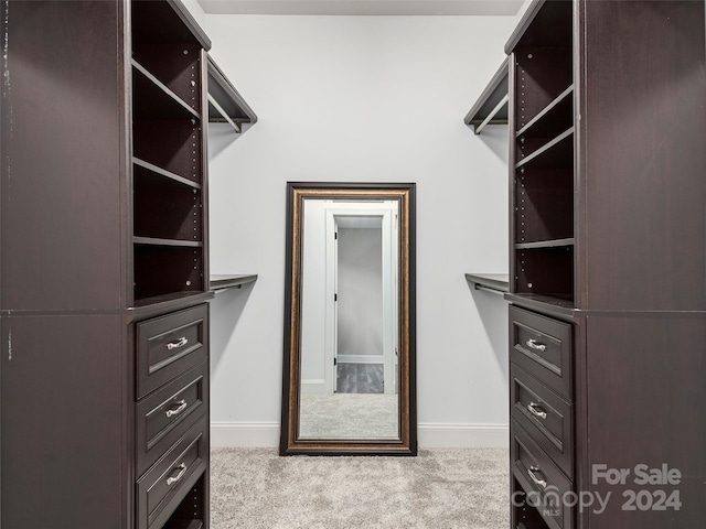 walk in closet with light carpet