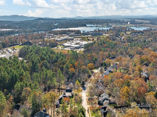 906 Woodvine Rd, Asheville, NC 28803 - photo 43