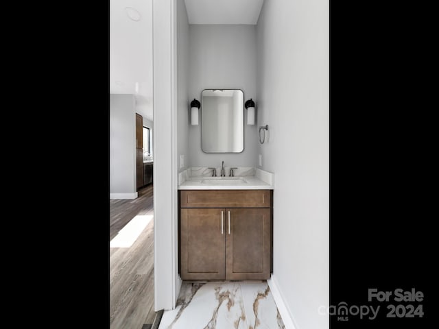 bathroom with wood-type flooring and vanity