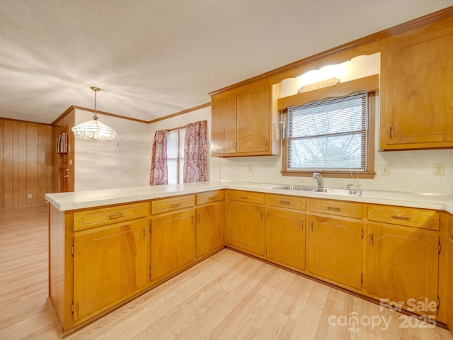 kitchen featuring kitchen peninsula, crown molding, sink, pendant lighting, and light hardwood / wood-style floors