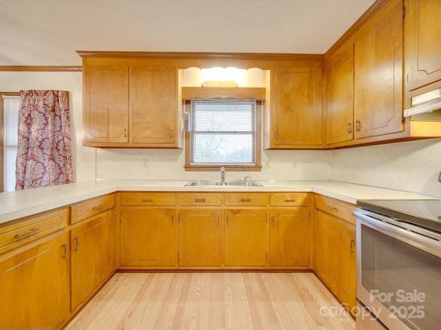 kitchen featuring sink, crown molding, electric stove, exhaust hood, and light wood-type flooring