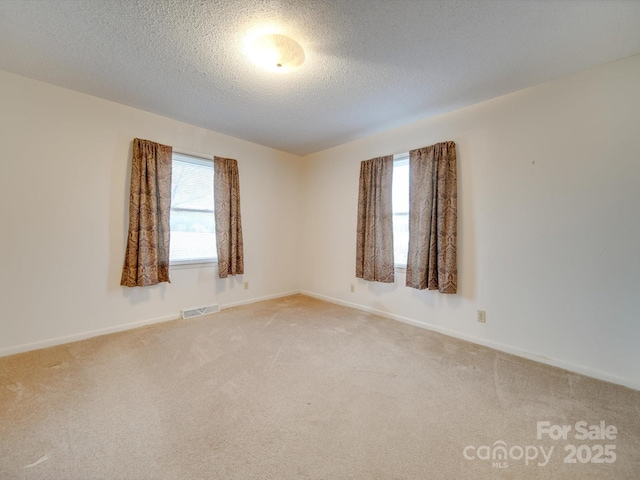 carpeted empty room with a healthy amount of sunlight and a textured ceiling